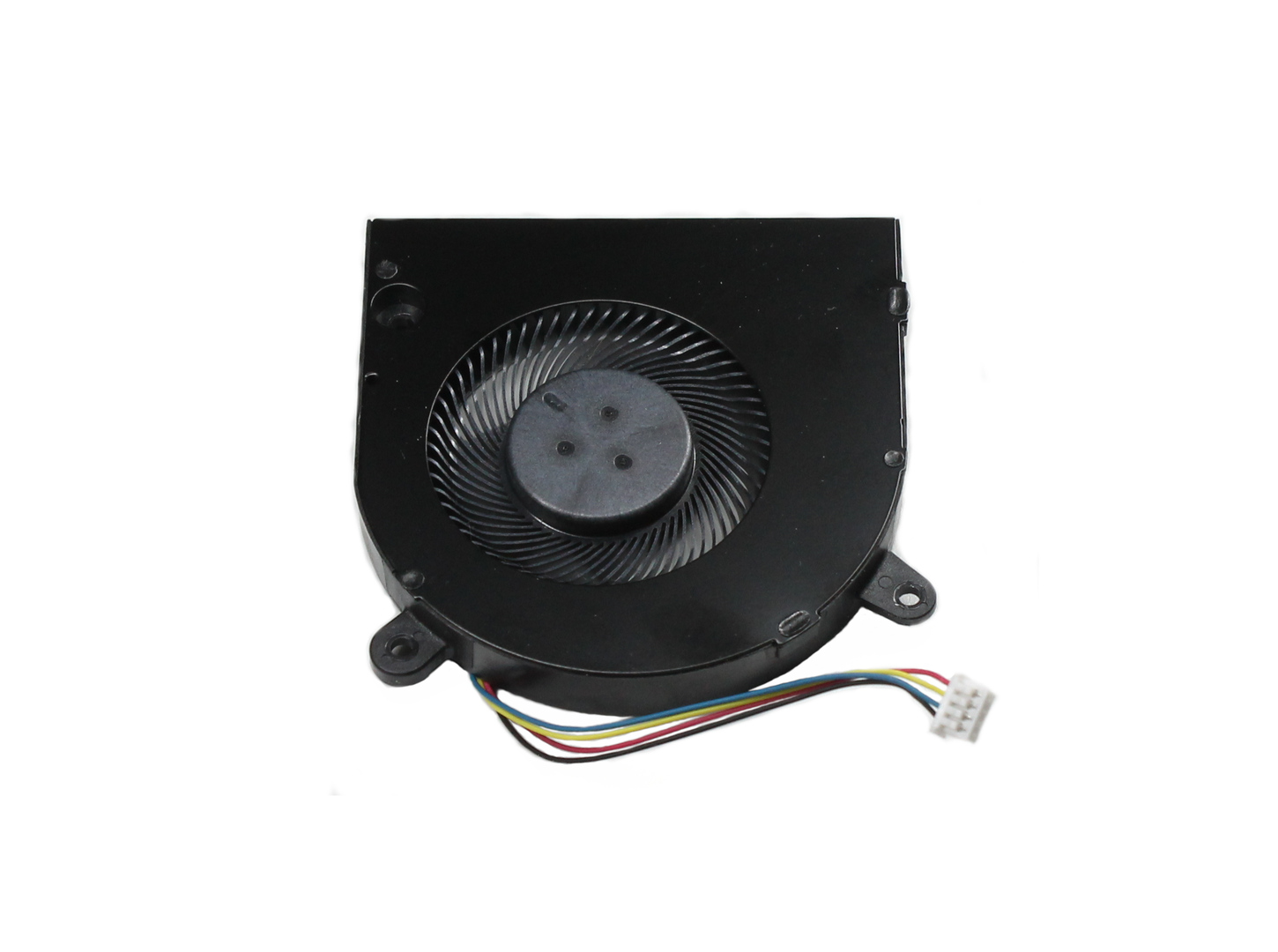 Photo of fan